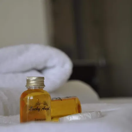 Lucky Angel Bed & Breakfast 4*